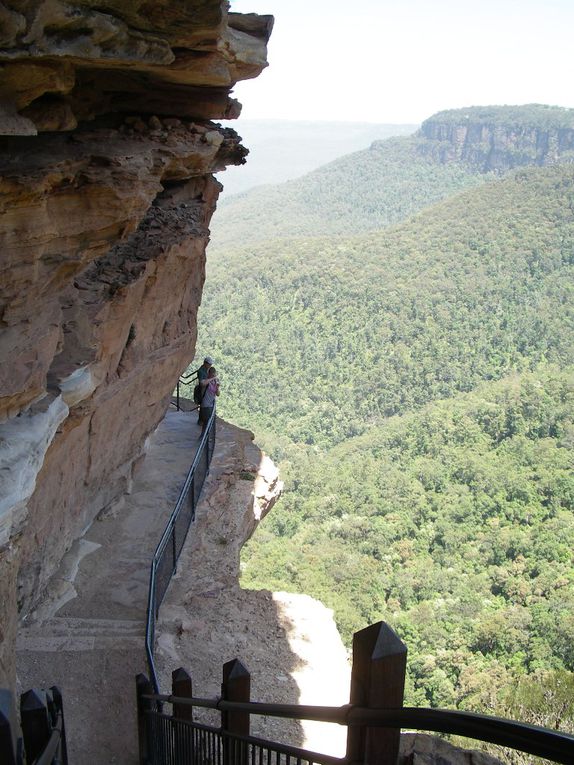 Album - The-Ultimate-Oz-Experience---Sydney + Blue Mountains