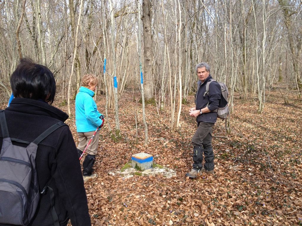 SORTIE : PIERREFONTAINES &quot;Bois de Baissey&quot;