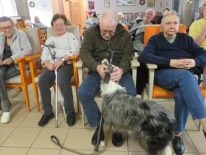 Les animaux au Ploreau