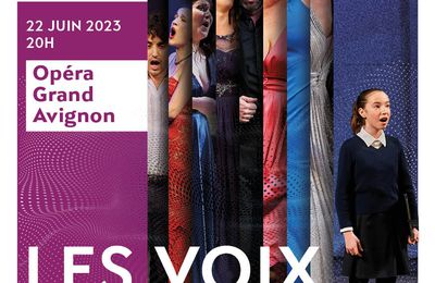 Voix Solidaires 2023 en Avignon