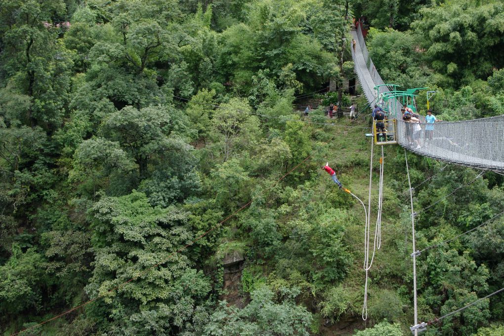 Saut à l'élastique