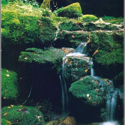 Cascade de la Vouivre - Saint-Claude - Jura