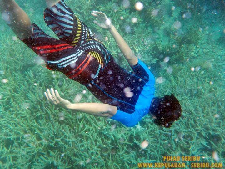 Pantai Pasir Putih Kepulauan Seribu Jakarta