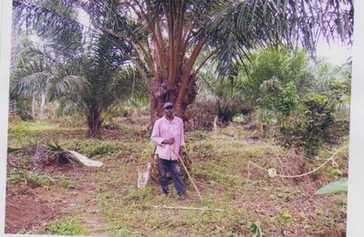 Projet d'aide aux handicapés et aux orphelins du village de SEPP au Cameroun