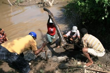 Awash National Park, Rift Valley, East Ethiopia. Fauna and Flora around the park and the Awash river.