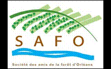 La SAFO a été créée fin 2004