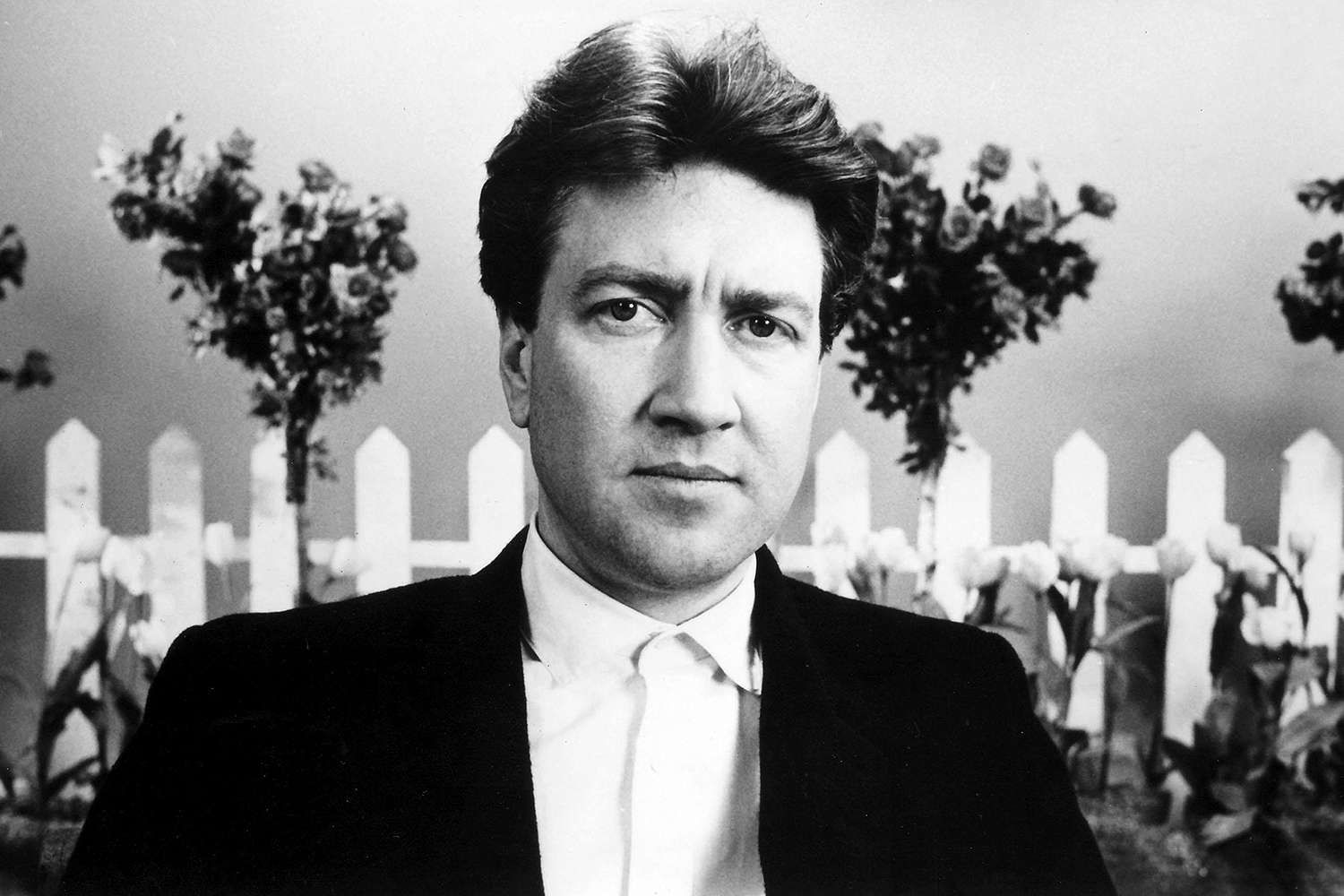 Mort David Lynch