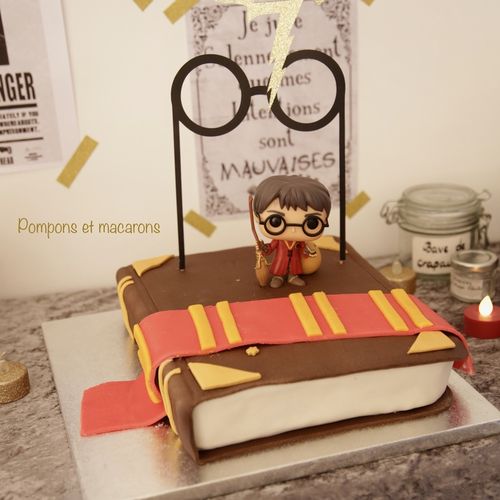 Notre Anniversaire Harry Potter Pompons Et Macarons