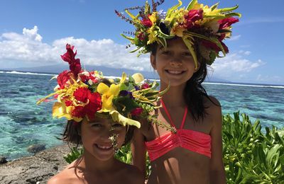 Polynésie française : Tahiti et Moorea, nage avec des requins