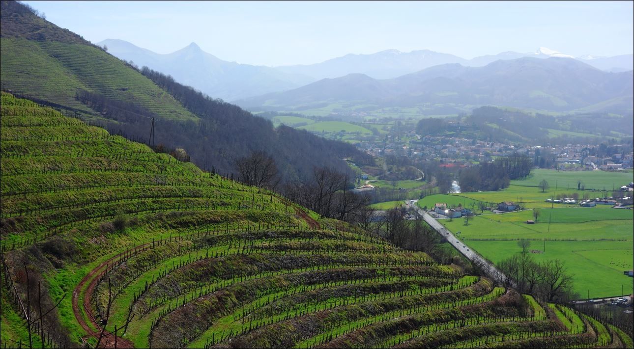 Randonnée à Ascarat / Elurti ( Pyrénées-Atlantiques 64 ) AA