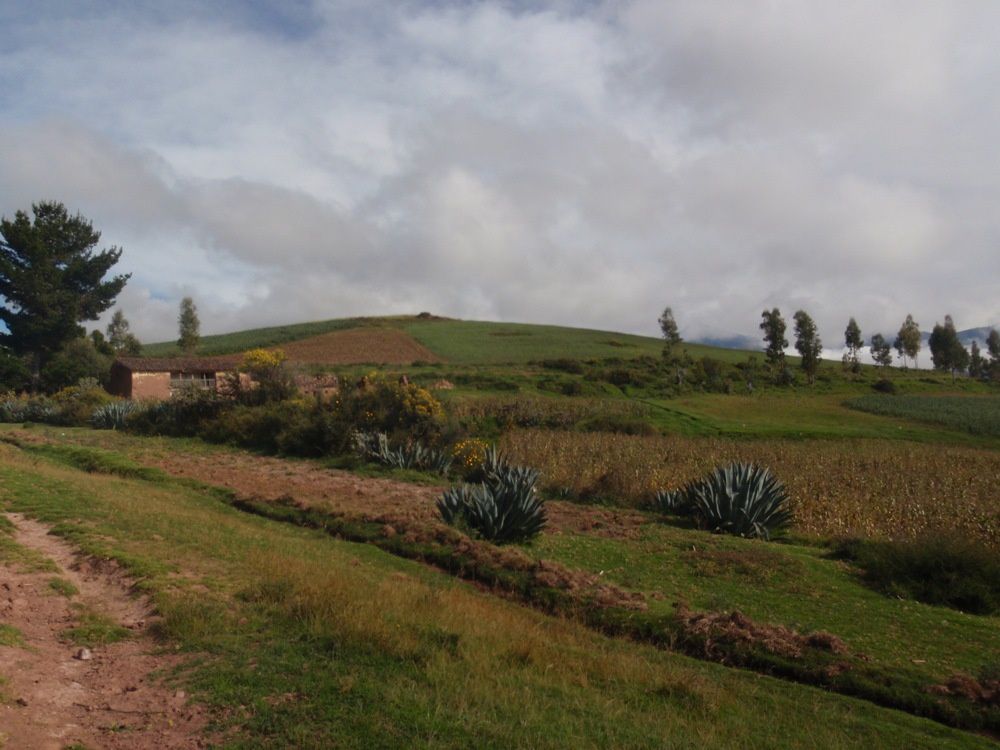 Album - 20-Cusco