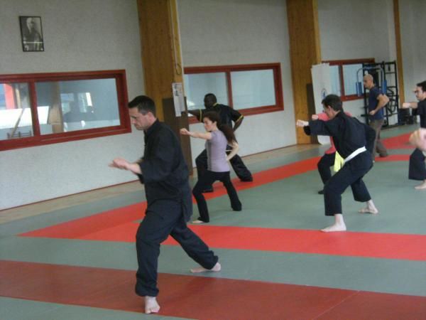 Etude de Shaolin Hei Fu Quna sous la direction de Jean Zinsou.