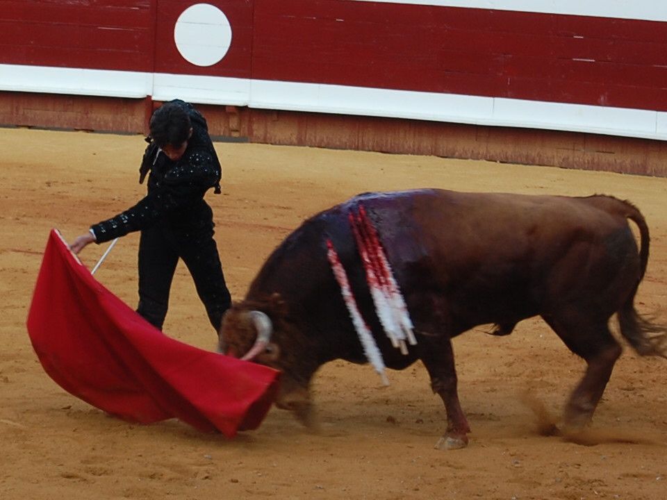 Album - Dax - Corrida du 16 août 2009