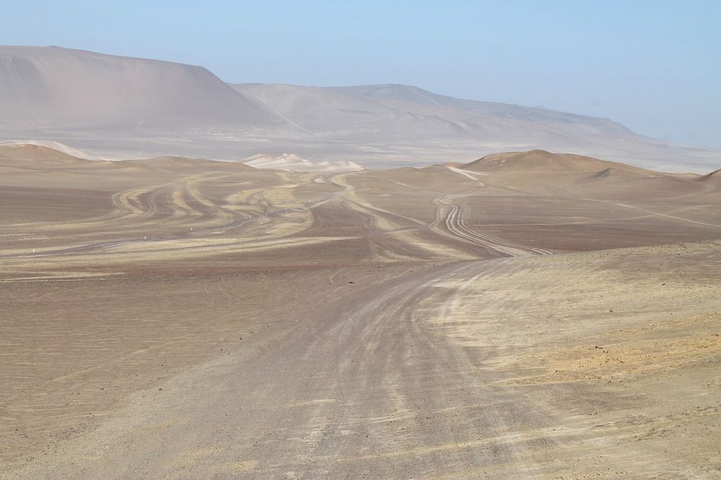 Superbe péninsule de Paracas