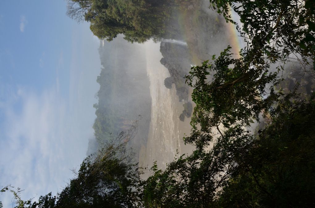 Album - Iguazu-y-Posada