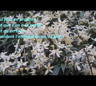 Comment faire pour réussir une belle journée