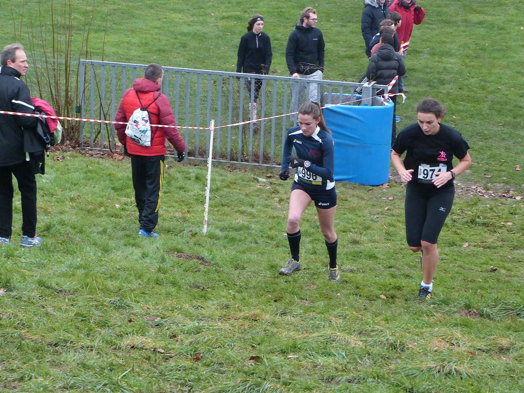 Championnats régionaux de cross, Aulnay sous Bois, le 25/01/2015