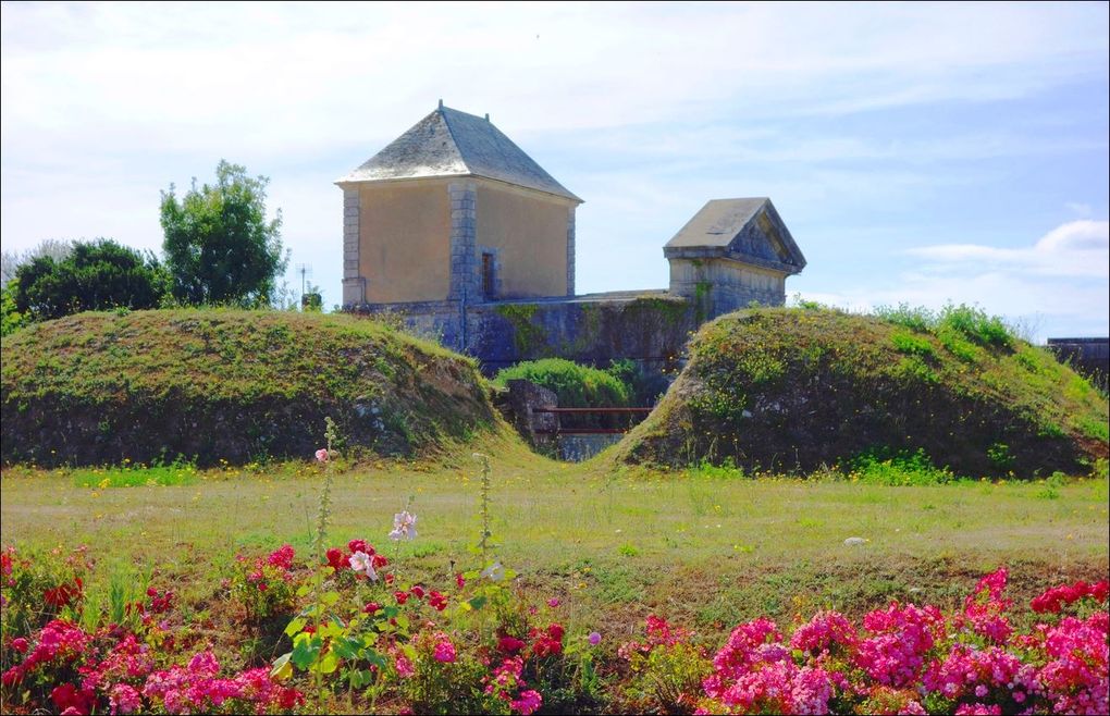 Paysages de l'île-de-Ré