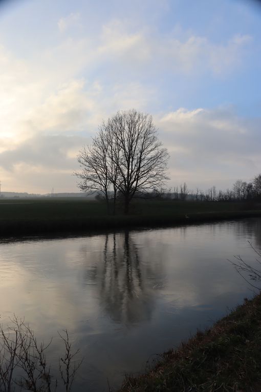 Balades hivernales à la campagne