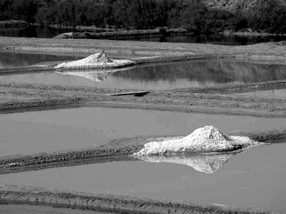 Album - Les Marais-salants de Guerande en noir et blanc