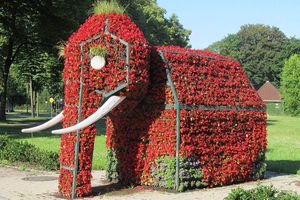 Der Blumenelefant