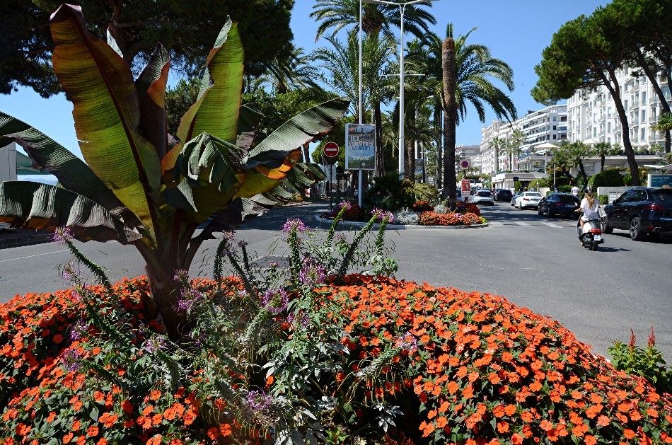 LES LAMBORGHINI DE LA CROISETTE VS LES FERRARI DE MONACO