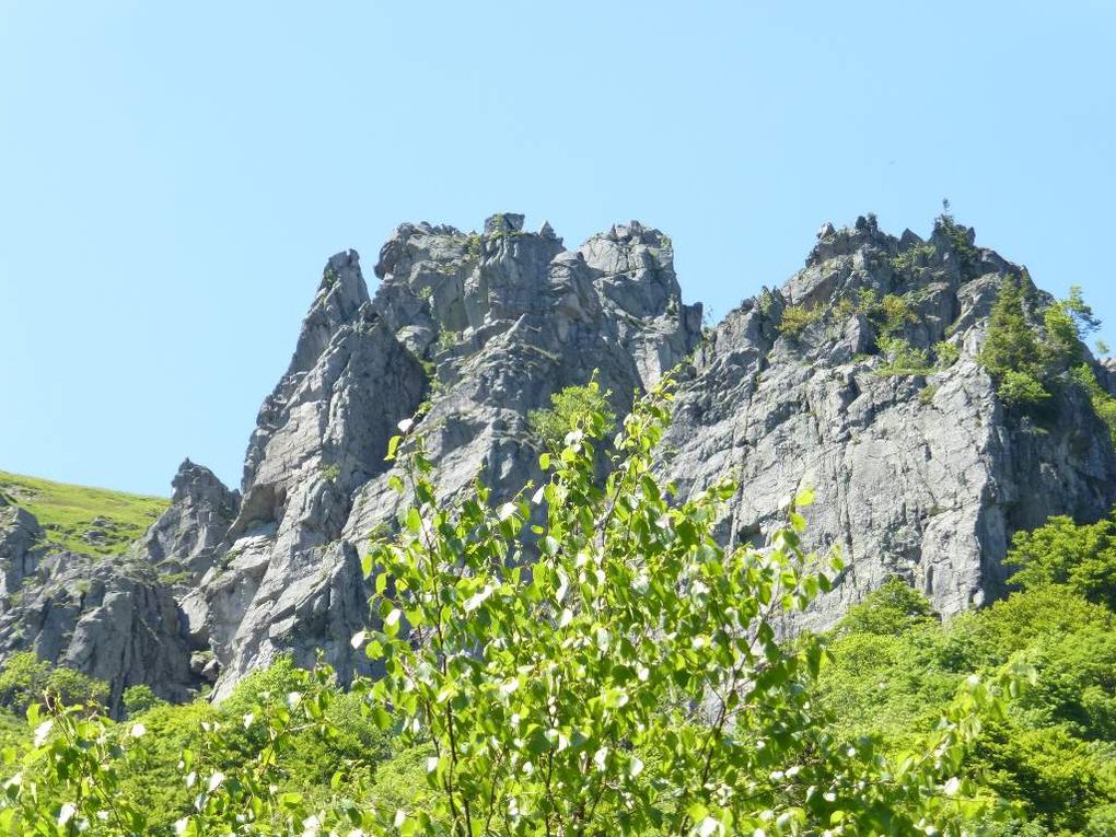 Hautes-Vosges : FRANKENTHAL (alt. 1030 m) - 21 - .
