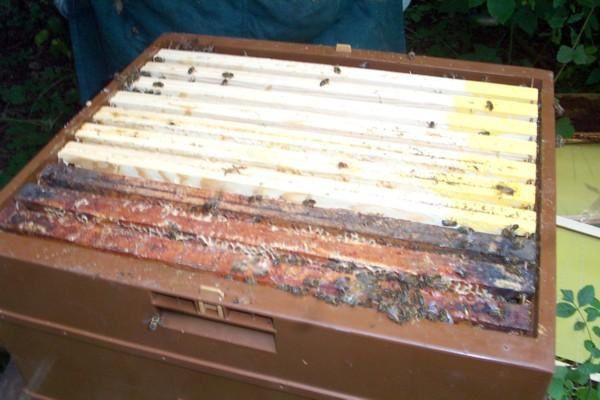  
les matériels que nous utilisons  pour l'exploitation apicole