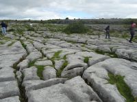 En Irlande 6 : le Burren