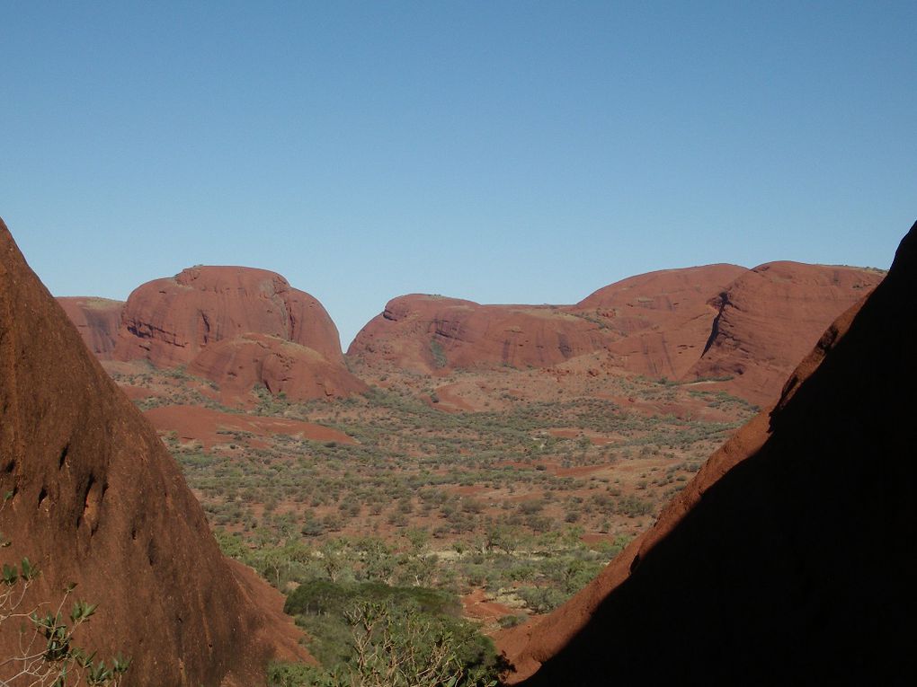 Album - The-Ultimate-Oz-Experience-2--Outback--The-Olgas---Ayers-Rock---Kings Canyon