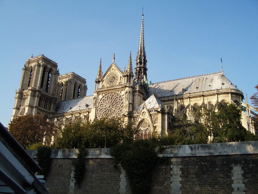 Photos Notre Dame à Paris sous divers angles
