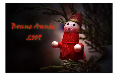 Bonne Année 2009