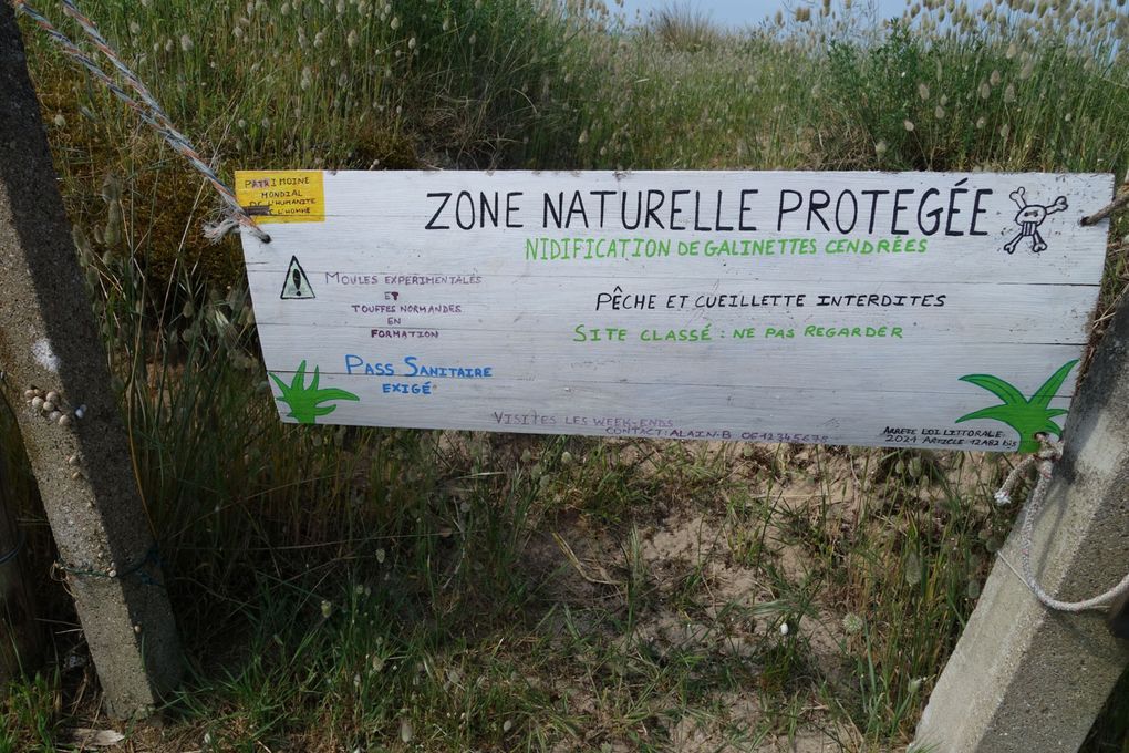 Séjour dans le Cotentin mai 2023