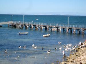 Album - Kangaroo-Island