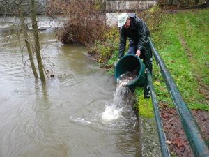 Le Pêcheur Barbezilien donne un coup de pouce au milieu aquatique !