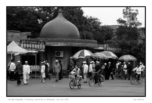 Exposition photographique, 12-30 novembre 2007, Le Mans