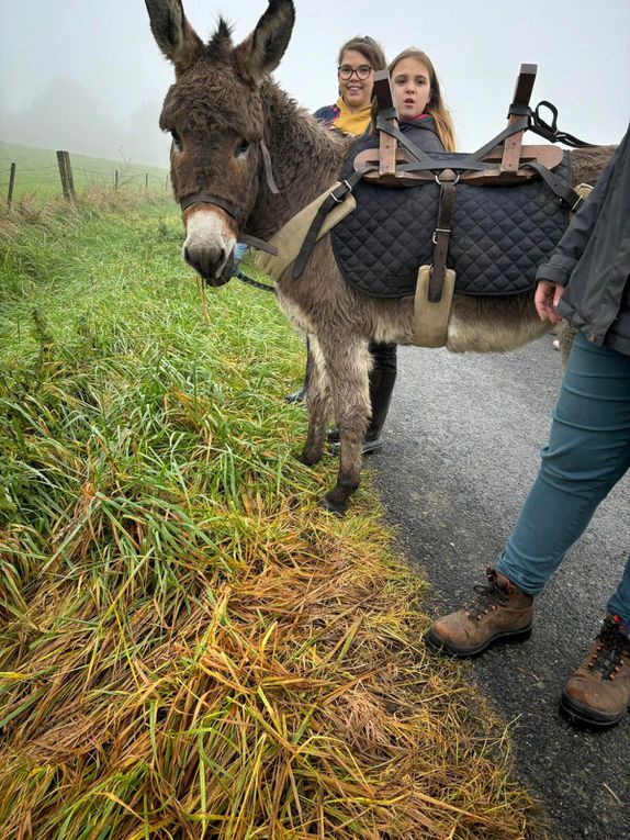 Après une nuit assez calme pour les unes ... moins pour les garçon, un petit déjeuner copieux pour être "parés" pour une randonnée avec les ânes.Le groupe se plait, le gîte est très agréable, la ferme à quelques centaines de mètres à peine. Malgré le temps maussade voir pire par moment, tout va bien. Résumé de la journée d'ici quelques heures😉😉😉