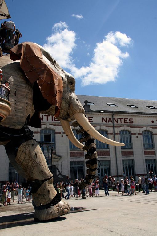 Eléphant de l'Ile de Nantes Royal de Luxe - Photos Thierry Weber Photographe La Baule Guérande