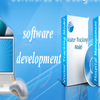 Leading arrangement over global software outsourcing development
