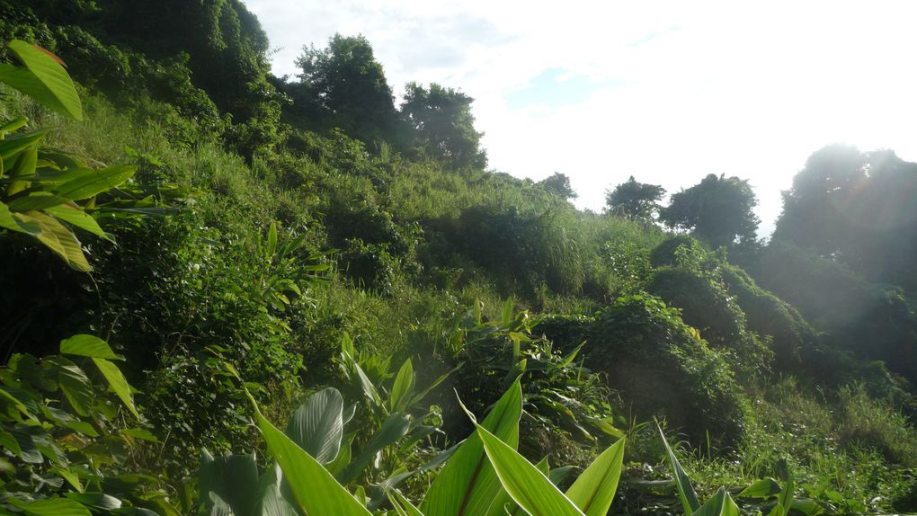 balade sur le volcan