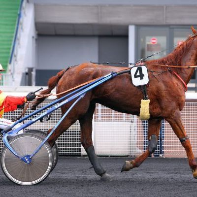 Quinté jeudi à Vincennes : Câlin de Morge est au top