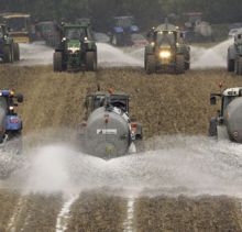 Des millions de litres de lait dans les champs