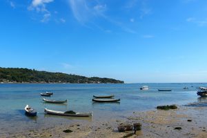 Les algues de Nusa Lembongan