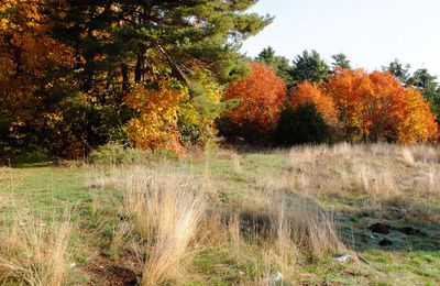 L'AUTOMNE A CAUSSOLS..