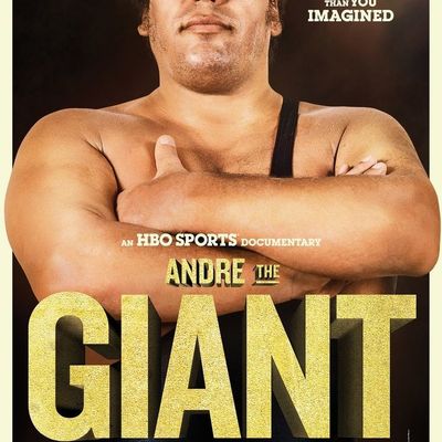 Un film, un jour (ou presque) #705 : André le Géant (2018)