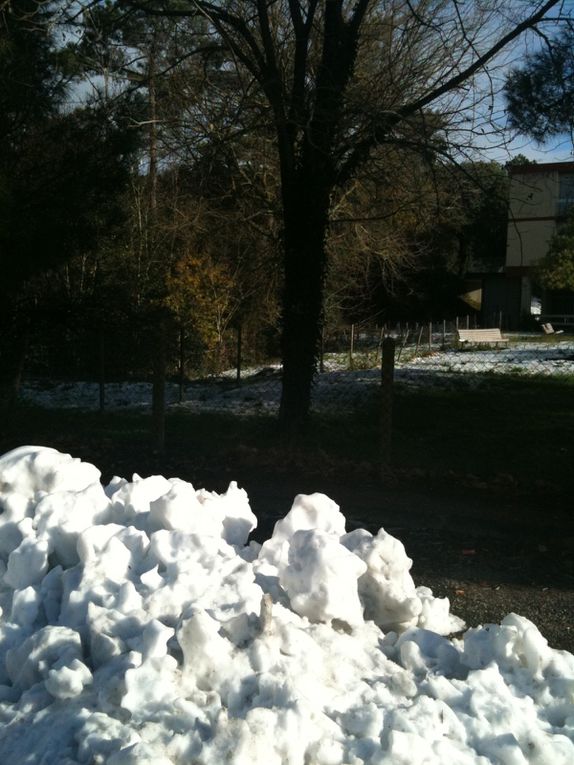 Album - insolite-en-pointe-du-Medoc