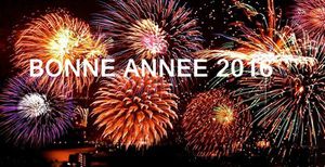 Bonne Année 2016 avec St Georges Joie !