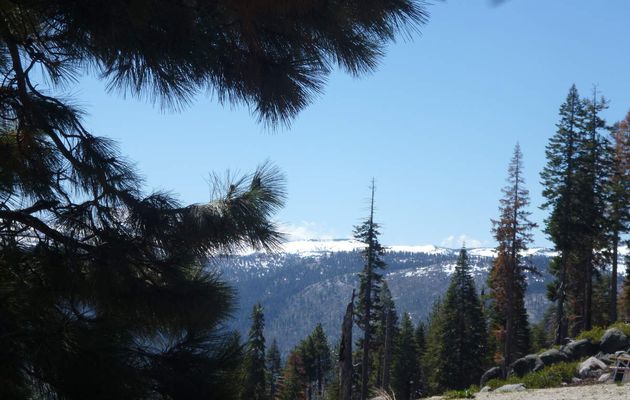 AMERICA,AMERICA  2  : YOSEMITE PARC ET DEATH VALLEY