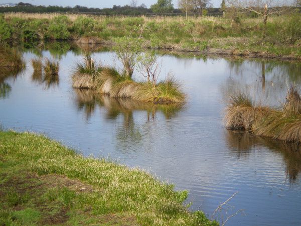 Album - Domaine-de-Certes