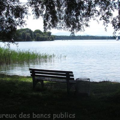 n°212 : Le Chiemsee le 31 juillet 2012